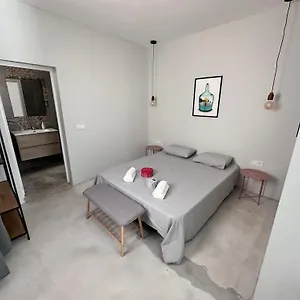Euphorbia Apartament